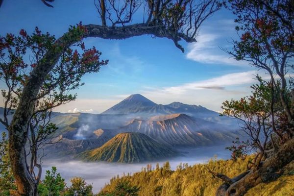 Bromo