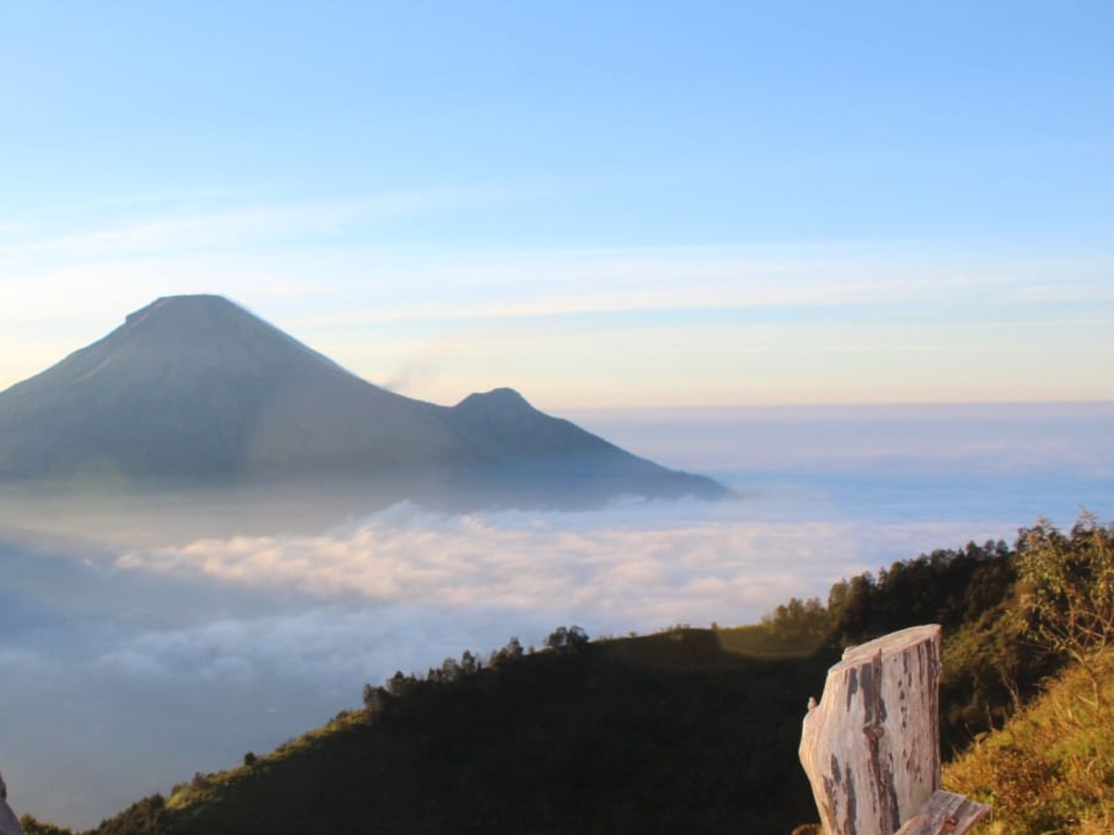 bukit sikunir